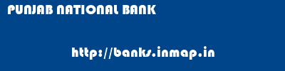 PUNJAB NATIONAL BANK       banks information 